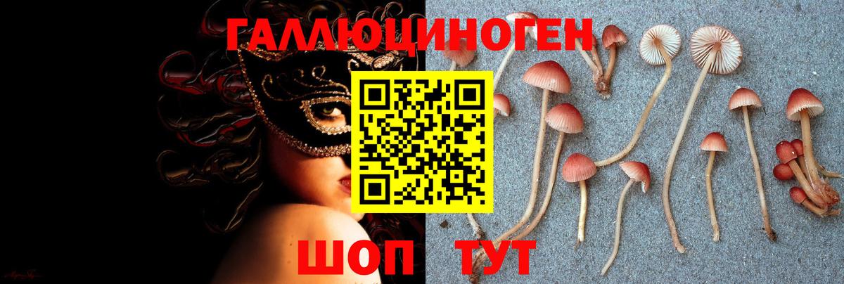 Псилоцибиновые грибы прущие грибы Гуково